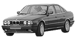 BMW E34 P084D Fault Code